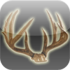no app image